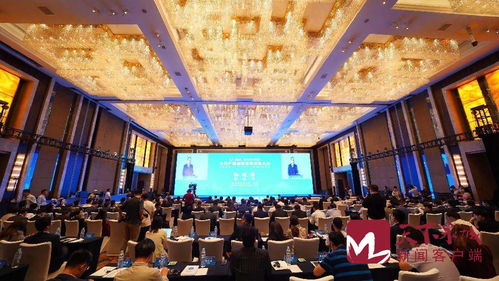 12個項目現場簽約 2021跨國公司 濟南 高層對話會暨中日產業創新發展交流大會在濟南召開