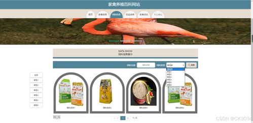 jsp家禽養殖百科網站q4360 程序 源碼 數據庫 調試部署 開發環境