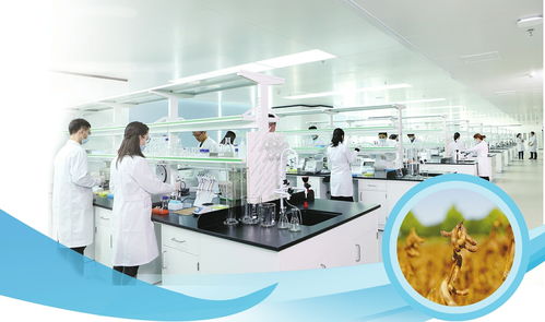 濟(jì)南點(diǎn)燃植物基因編輯火種,培育企業(yè)拿到國(guó)內(nèi)首張植物基因編輯安全證書