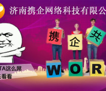 濟南企業網站開發及新媒體推廣策略